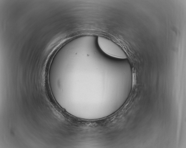 X0000112480243200908171018
