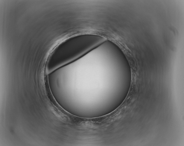 X0000112480244200908171018