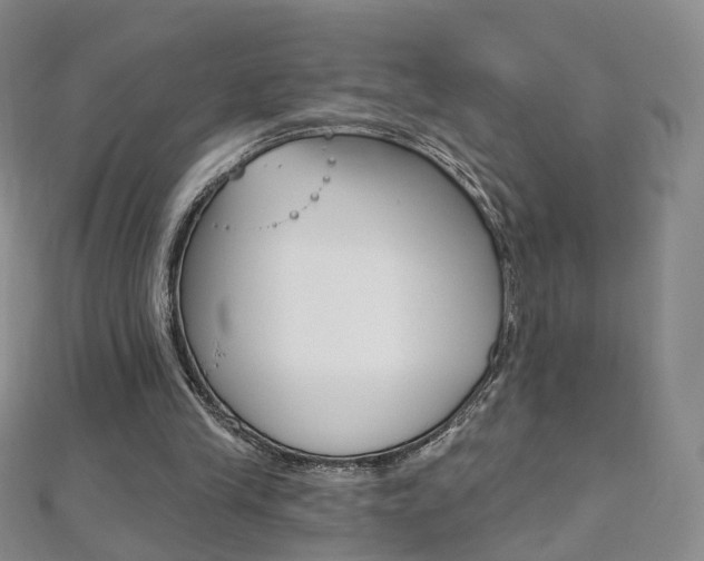 X0000112480245200908171018