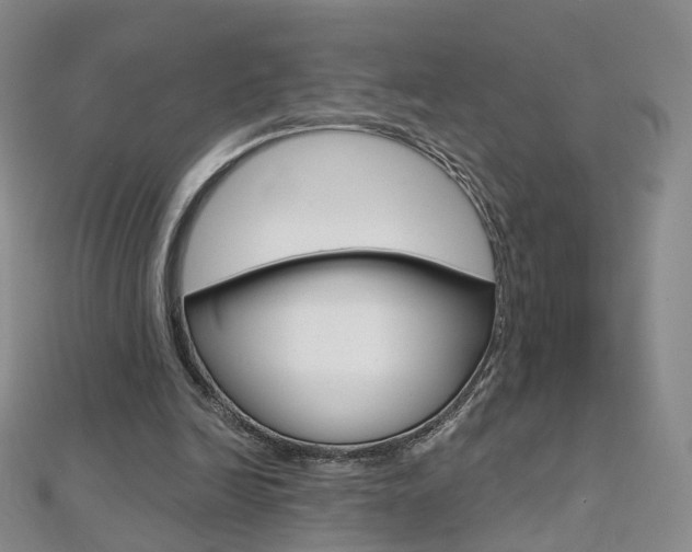 X0000112480246200908171018