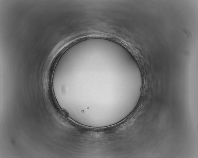 X0000112480247200908171018