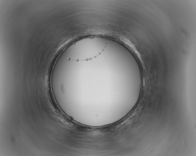X0000112480249200908171018