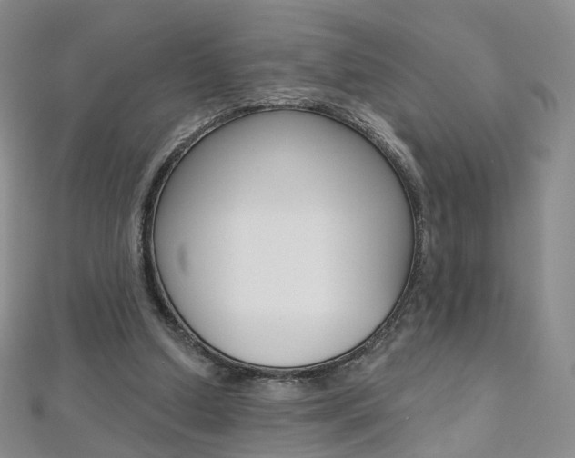 X0000112480250200908171018