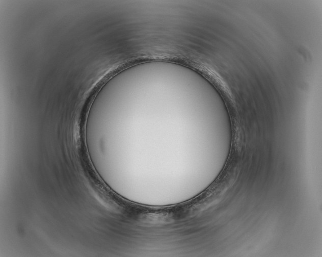 X0000112480251200908171018