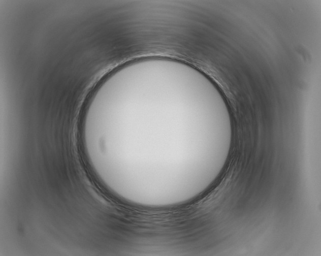 X0000112480252200908171018