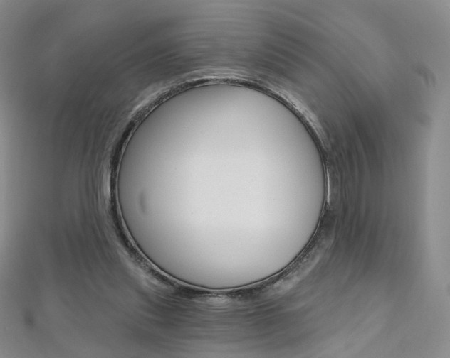 X0000112480253200908171018