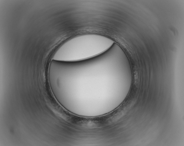 X0000112480254200908171018