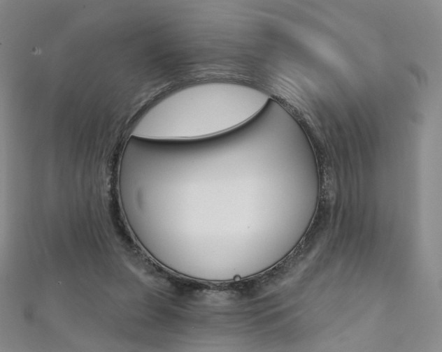 X0000112480255200908171018