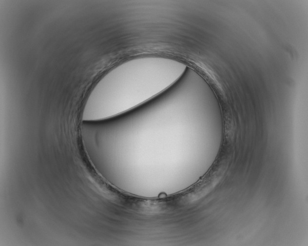 X0000112480261200908171018