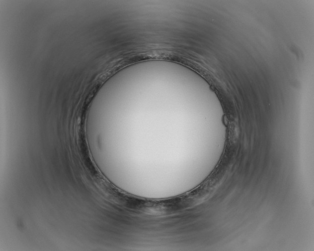 X0000112480263200908171018