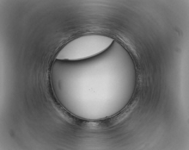 X0000112480265200908171019