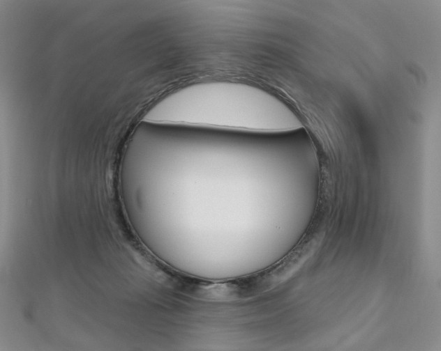 X0000112480269200908171019