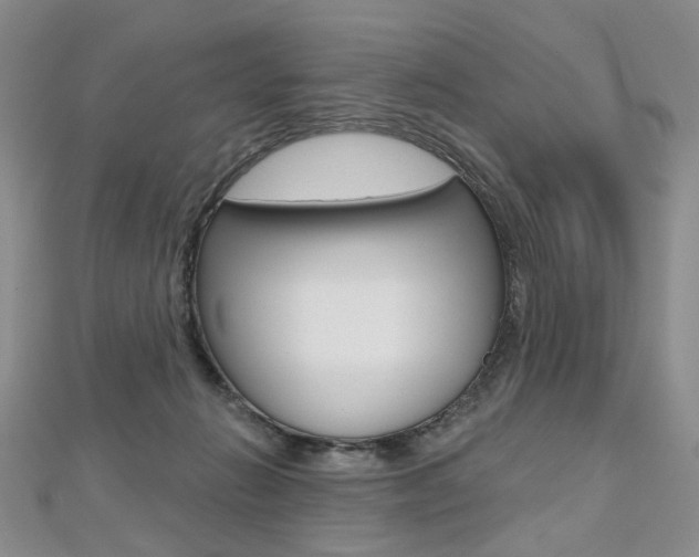 X0000112480270200908171019