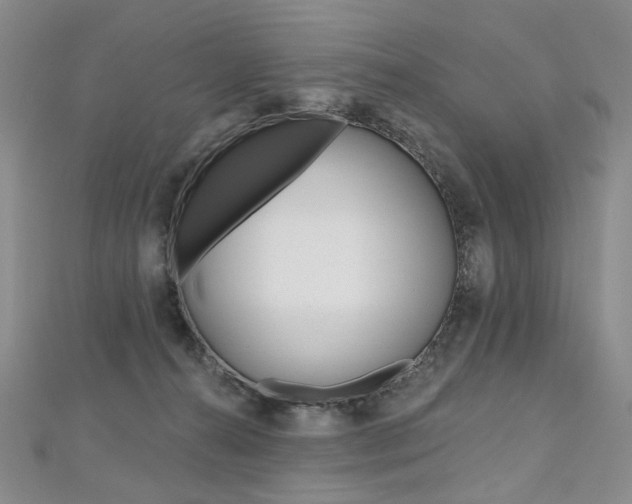X0000112480272200908171019