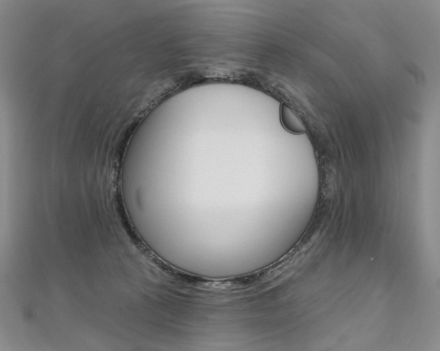 X0000112480273200908171019