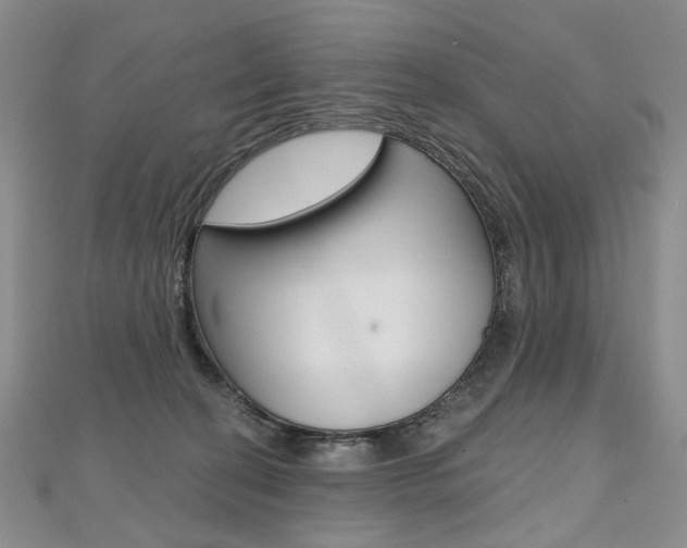 X0000112480274200908171019