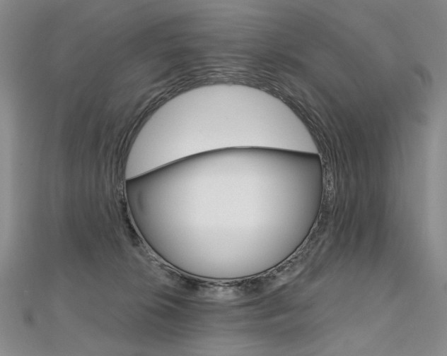 X0000112480276200908171019