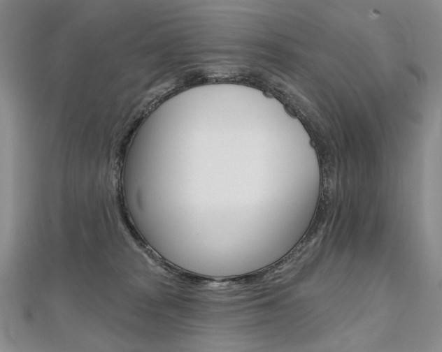 X0000112480277200908171019
