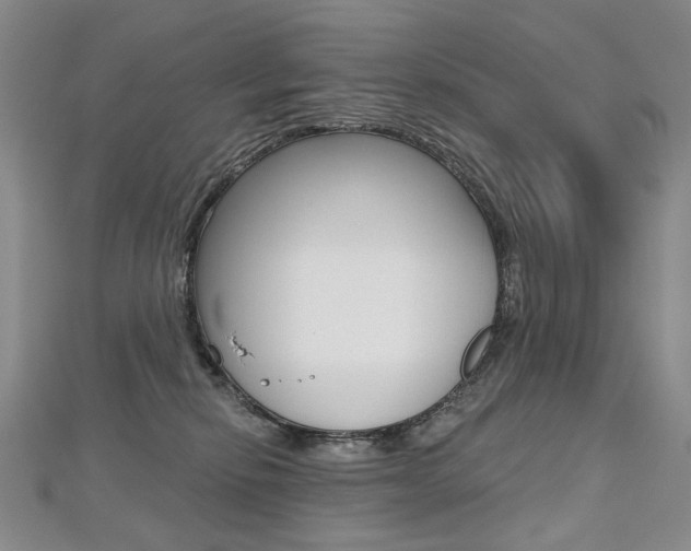 X0000112480278200908171019