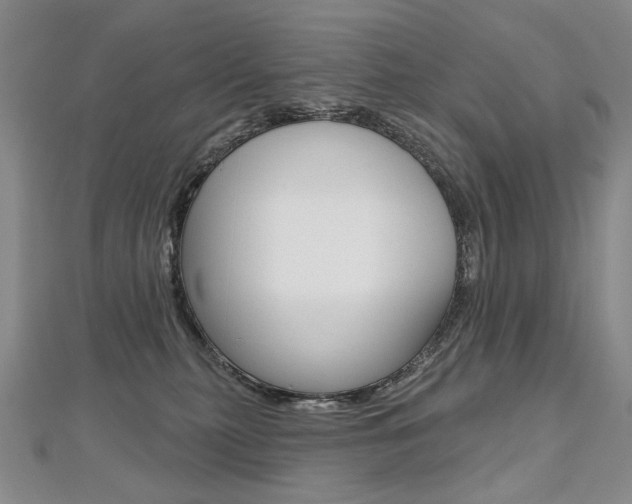X0000112480279200908171019