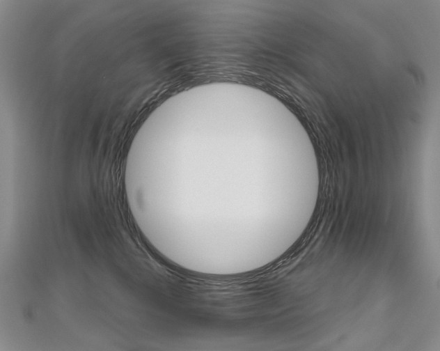 X0000112480280200908171019