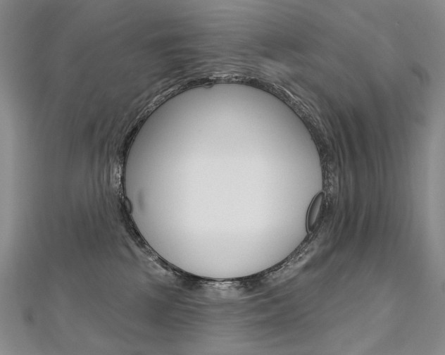 X0000112480281200908171019
