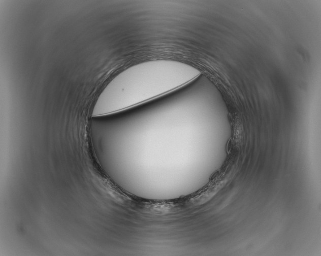 X0000112480282200908171019