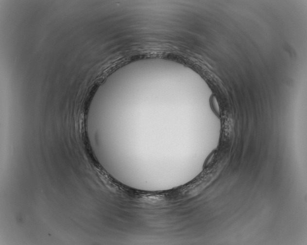 X0000112480283200908171019