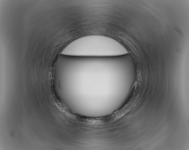 X0000112480284200908171019