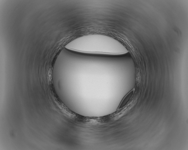 X0000112480285200908171019