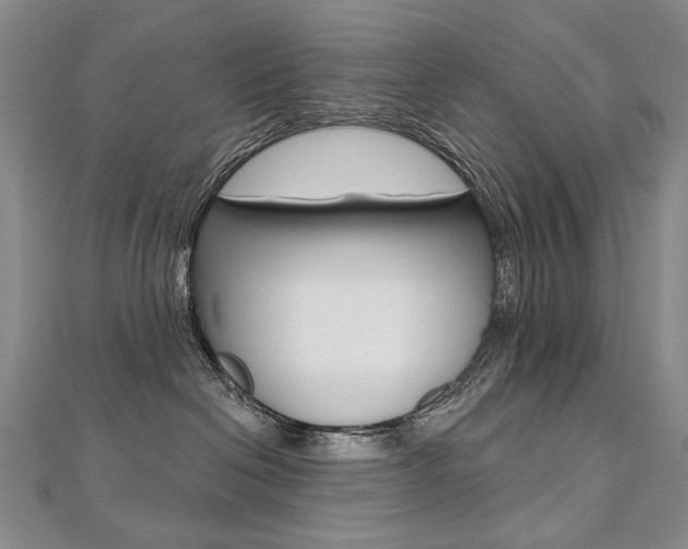 X0000112480286200908171019