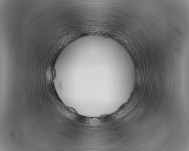 X0000112480287200908171019