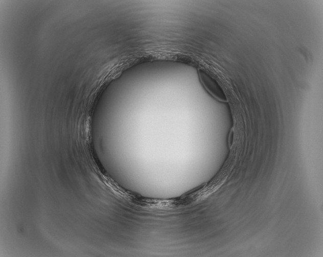 X0000112480288200908171019