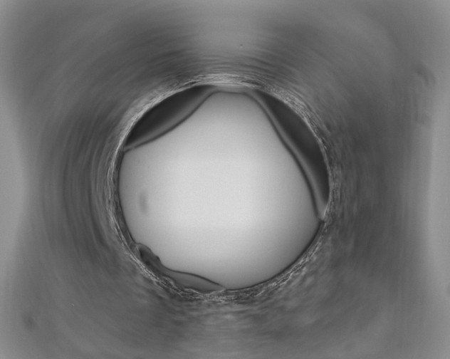 X0000112480289200908171018