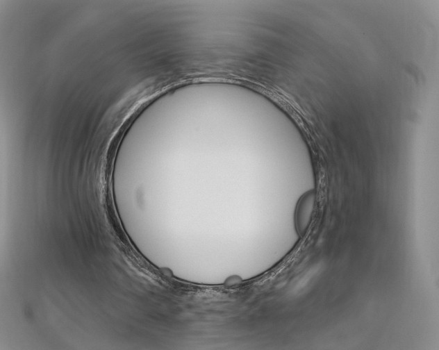 X0000112480290200908171018