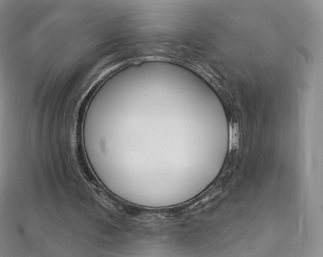 X0000112480291200908171018
