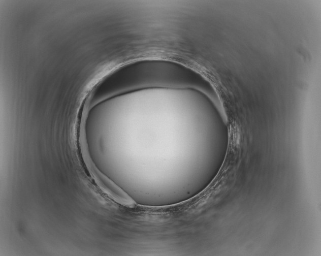 X0000112480292200908171018