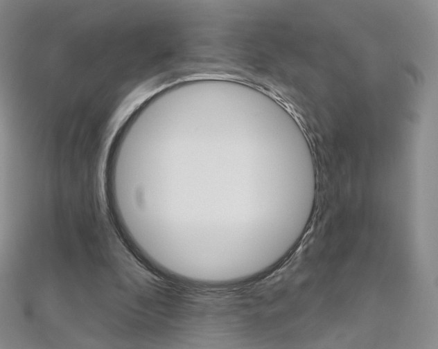X0000112480296200908171018