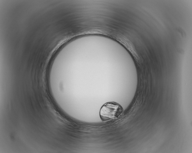 X0000112480300200908171018