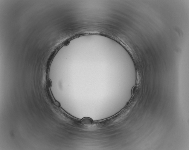 X0000112480301200908171018