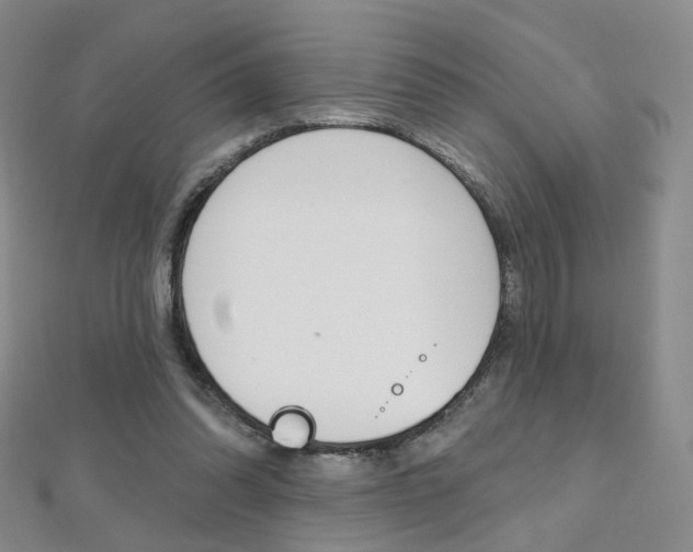 X0000112480302200908171018