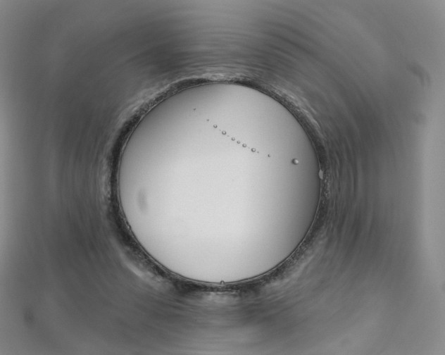 X0000112480303200908171018