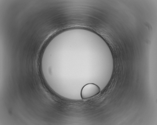 X0000112480304200908171018