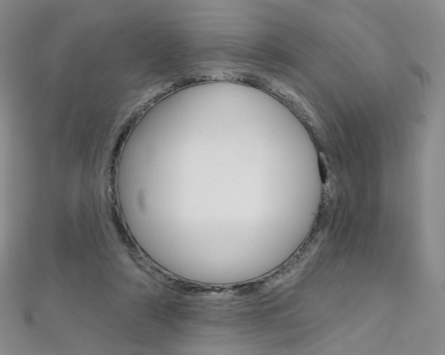 X0000112480306200908171018