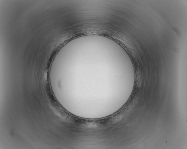 X0000112480310200908171018