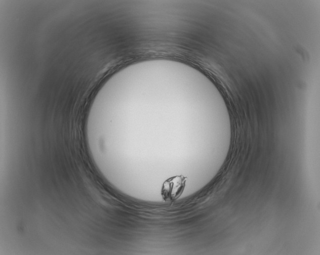 X0000112480312200908171018