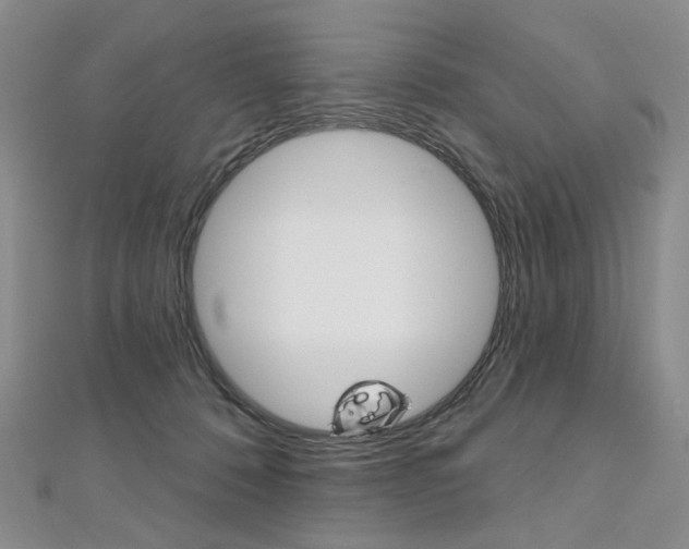 X0000112480320200908171018