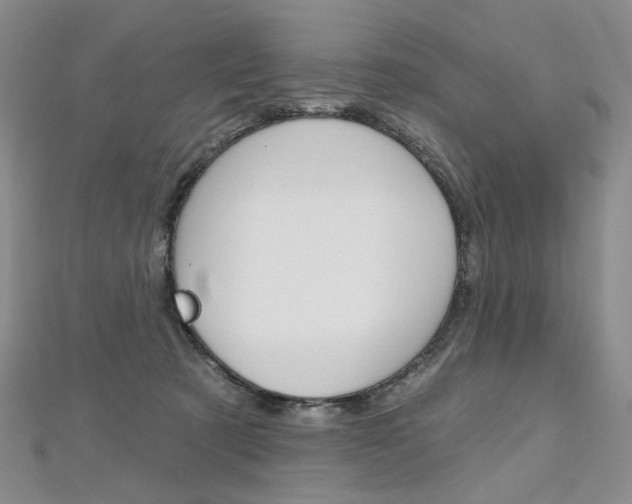 X0000112480321200908171018