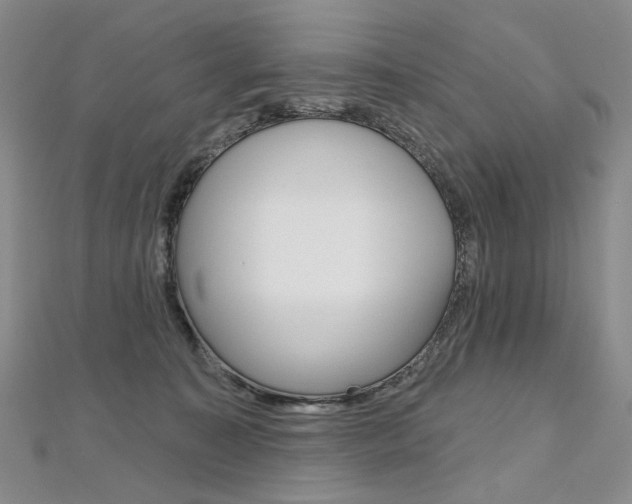 X0000112480323200908171018