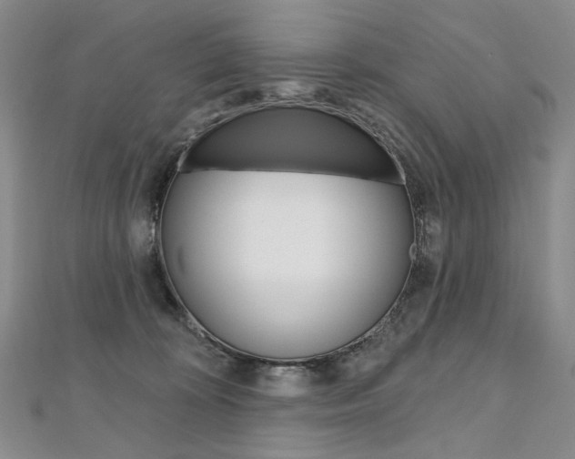 X0000112480324200908171018